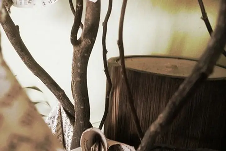 ID d'Elle Location — photo 5