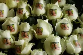 Roses Imprimées — photo 4