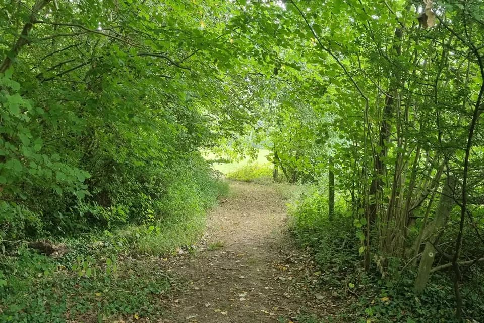 Ferme de Wolphus — photo 5