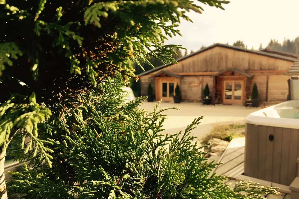 Domaine de la Pierre à Sel — photo 5