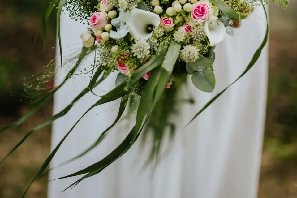 Roxane Hennequin Photographe — photo 1