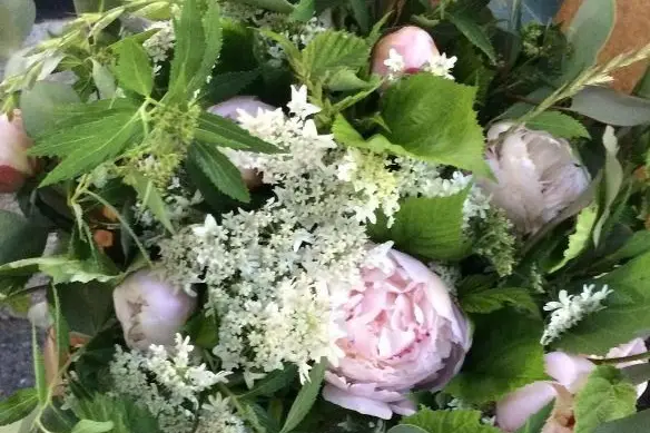 Julien Clolus — photo 2