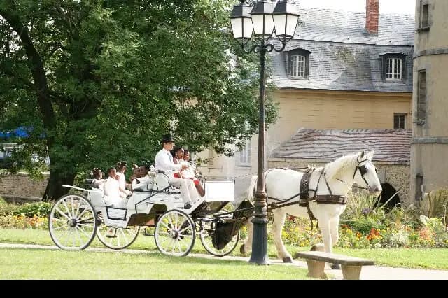 Les Attelages de Paris — photo 5