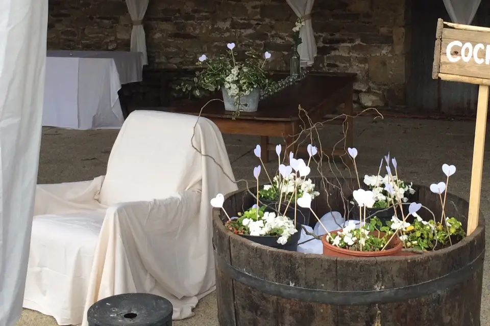 Julien Clolus — photo 5