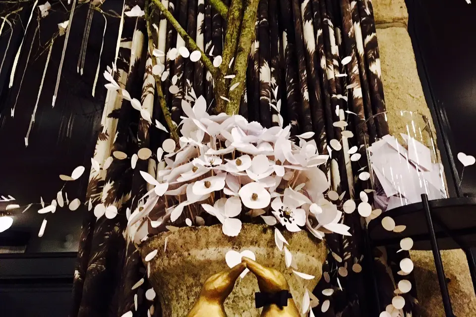 Julien Clolus — photo 7