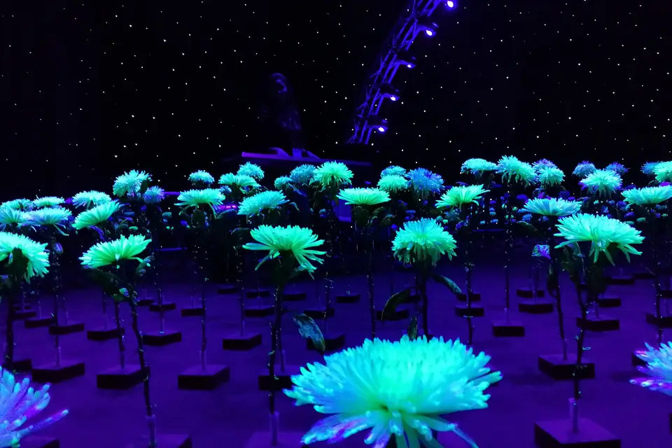 Agence Aglaé — photo 8