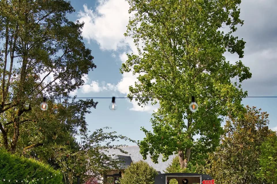 The Little Beer — photo 8