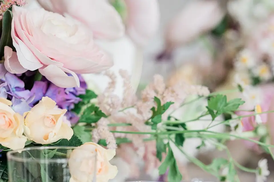 LV Réception — photo 5