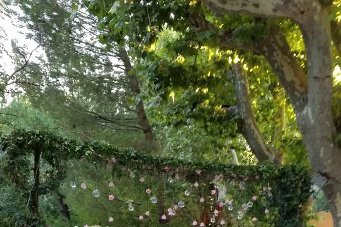 Lionel Canton Fleuriste — photo 1