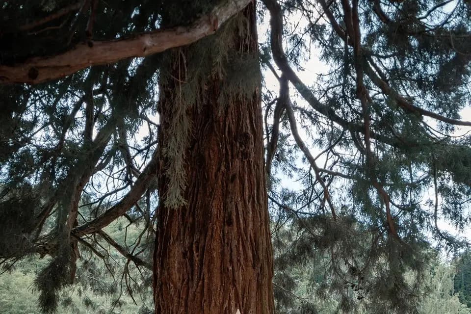 L'Orangerie du Manoir — photo 7