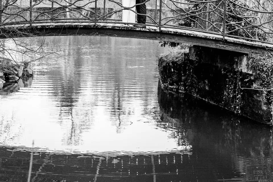 La Tête dans le Cadre — photo 7