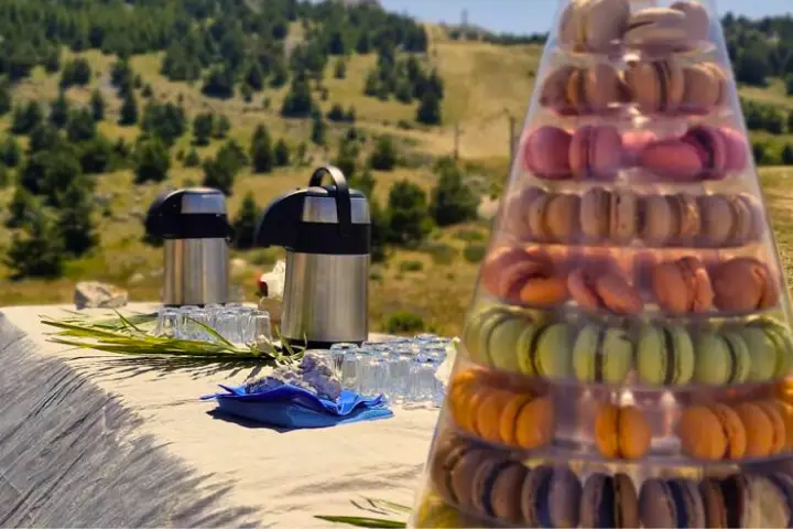 Auberge Alpina — photo 3