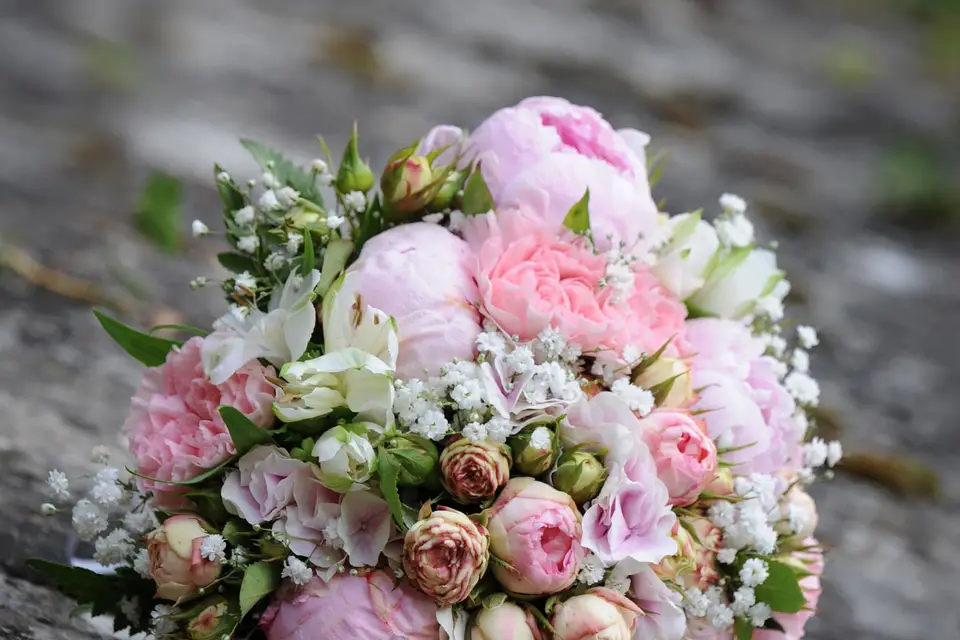 Studio Bernard — photo 2