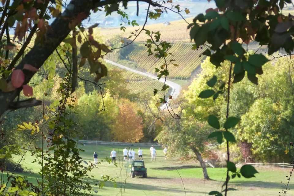 Domaine de Romery en Champagne — photo 8