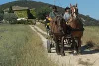 Sud Nature Attelage — photo 3