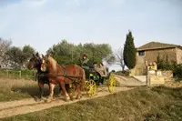 Sud Nature Attelage — photo 4