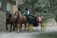 Sud Nature Attelage — photo 5