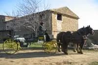 Sud Nature Attelage — photo 2