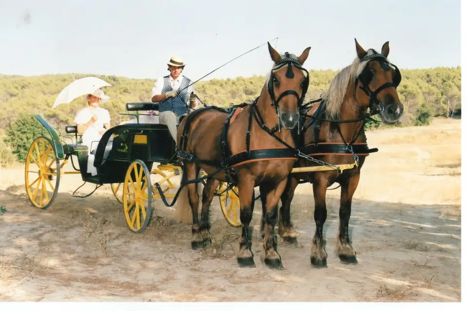 Sud Nature Attelage — photo 1