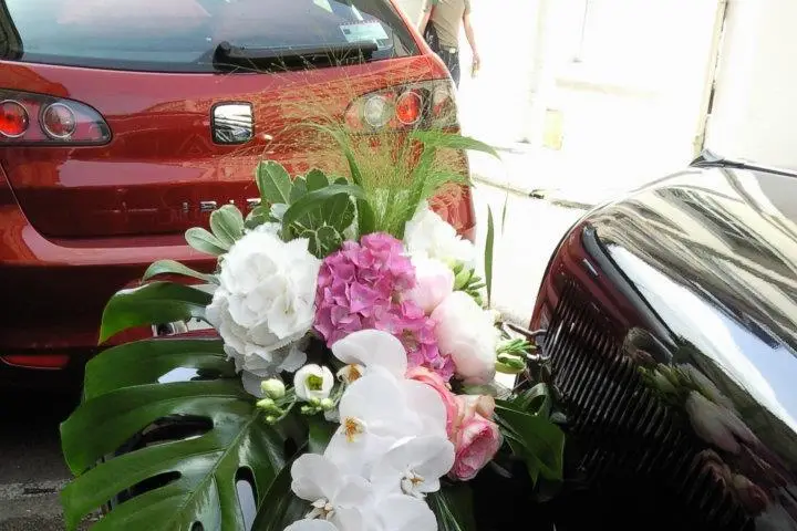 Helen Flowers — photo 5