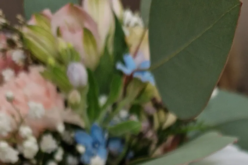 Di Angelo Prod — photo 7