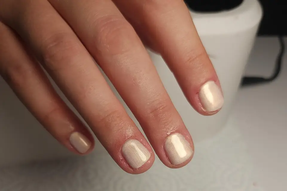 Sofy's Workshop — photo 8