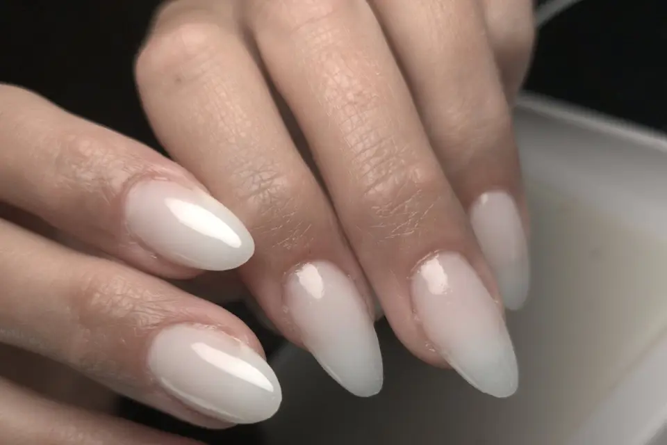 Sofy's Workshop — photo 5