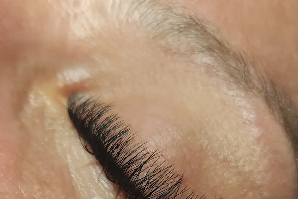 Sofy's Workshop — photo 6