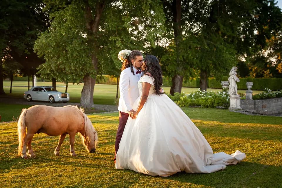 Mc Image — photo 5