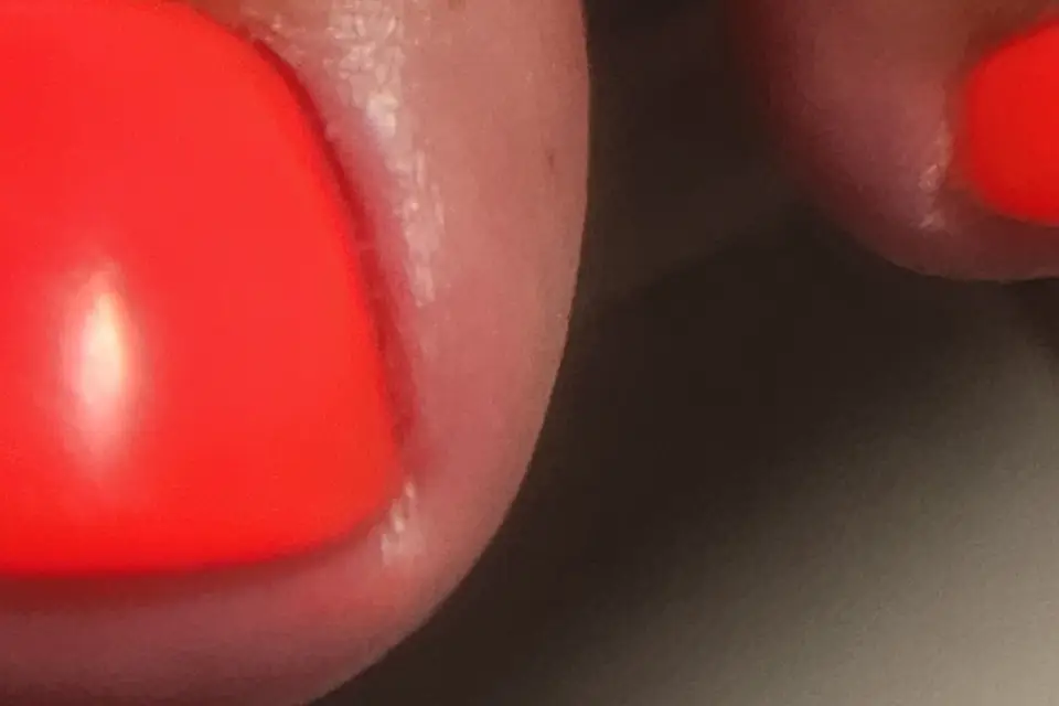 Sofy's Workshop — photo 4