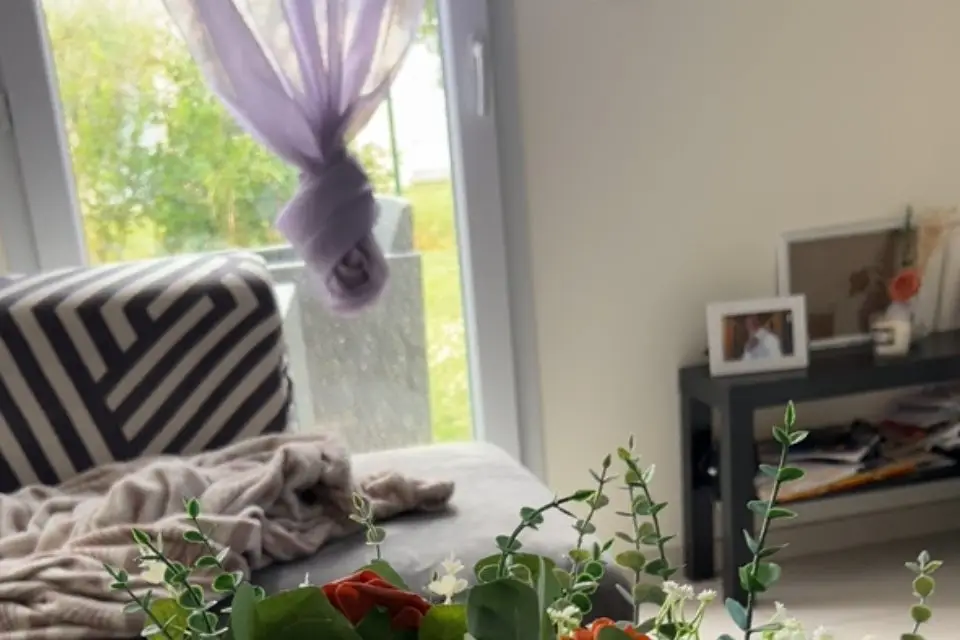 Rêve et réalité — photo 7