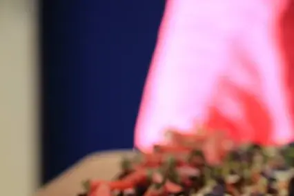 Cedric Traiteur — photo 1