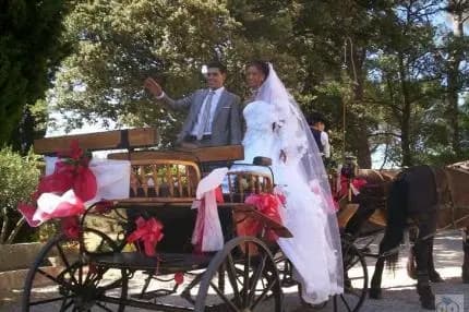 Hipposervices - Calèches — photo 4