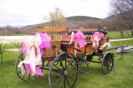 Hipposervices - Calèches — photo 3