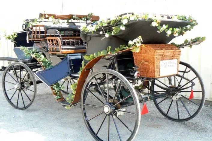 Hipposervices - Calèches — photo 2