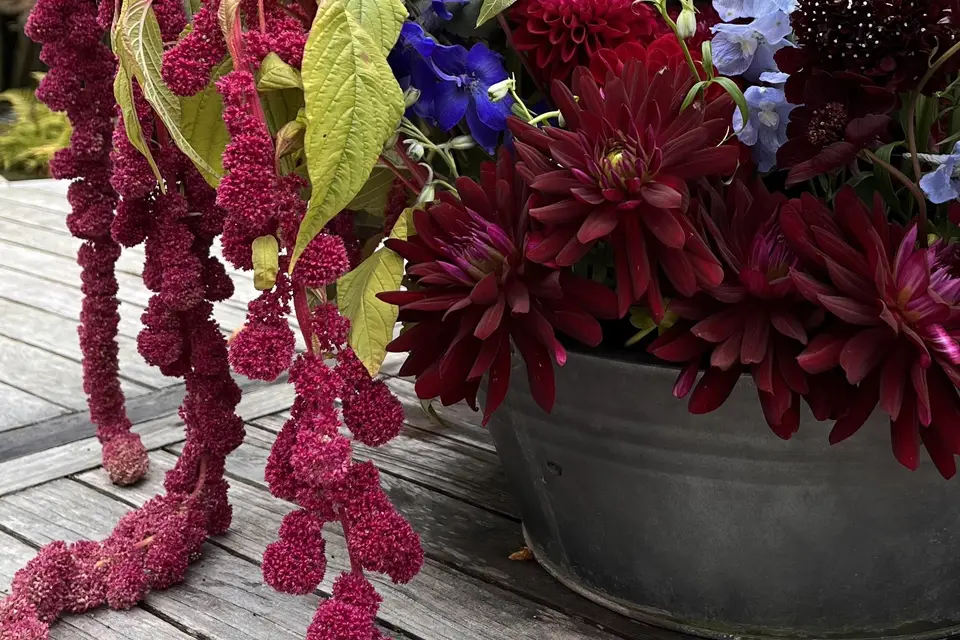 Bouquet Moi — photo 6