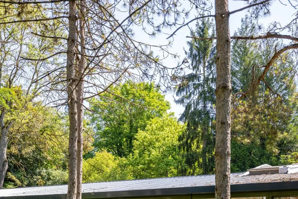 Les domaines de Gaston — photo 8