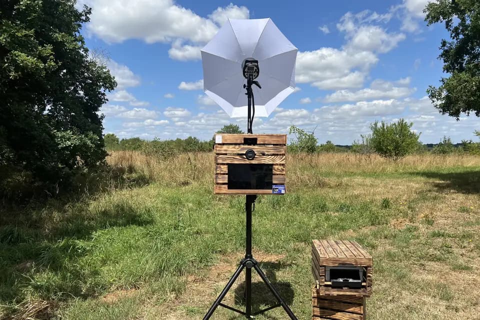 Luminisson — photo 6