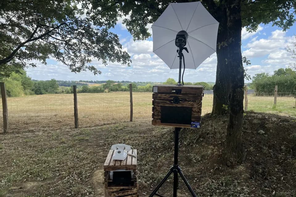 Luminisson — photo 7