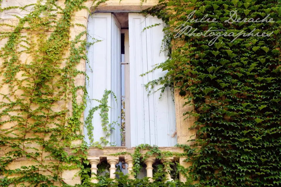 Mariella — photo 1