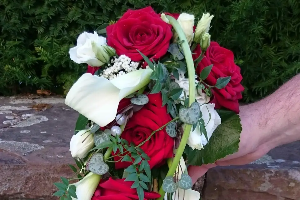 Hanau Fleurs — photo 7