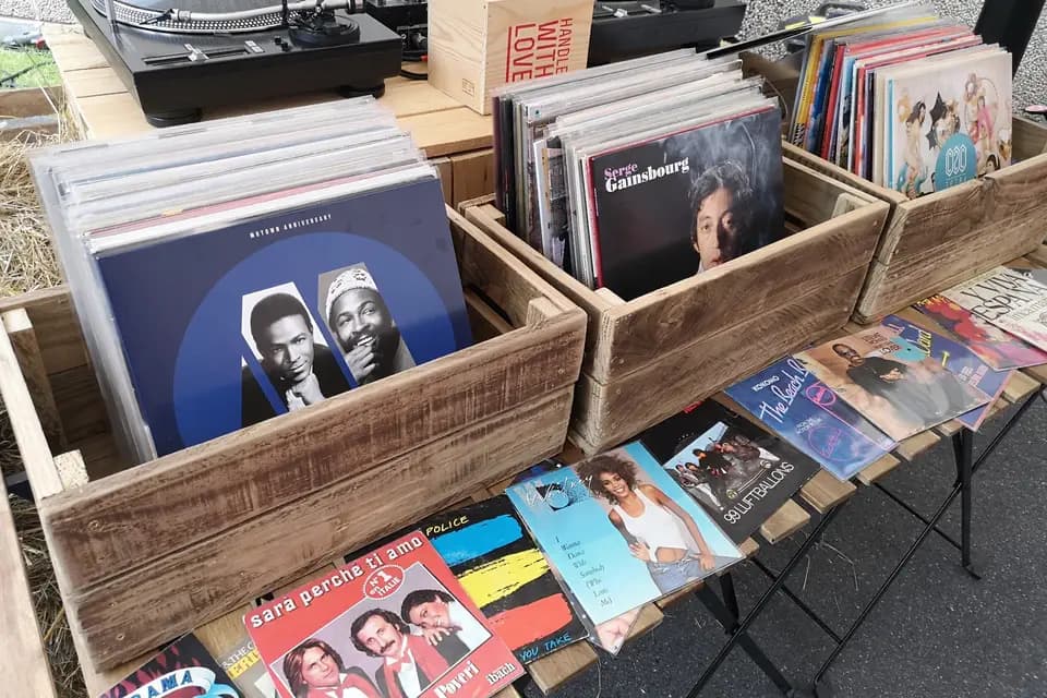 Mister Maé — photo 5