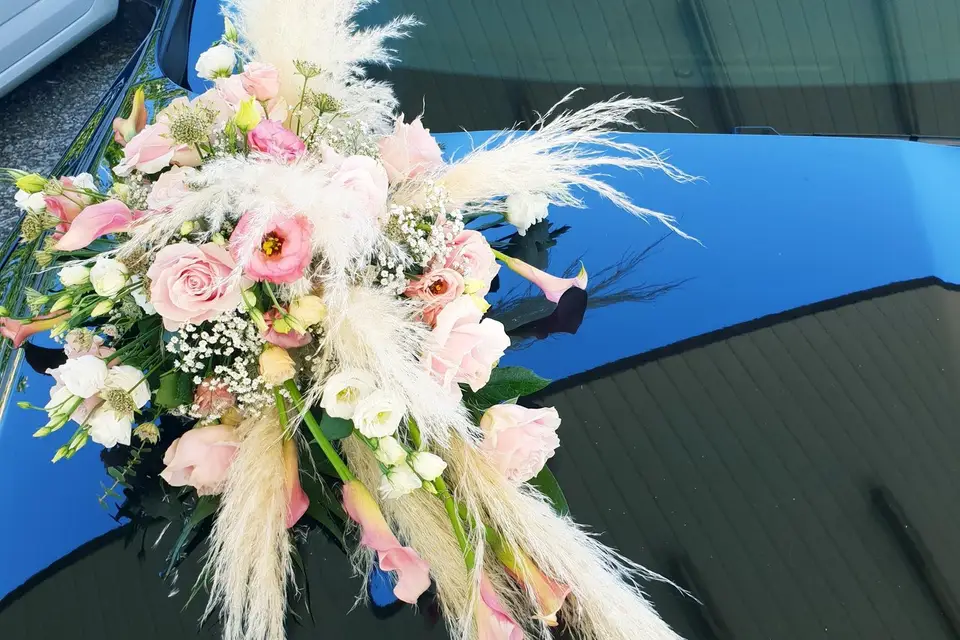 Il était une fleur — photo 4