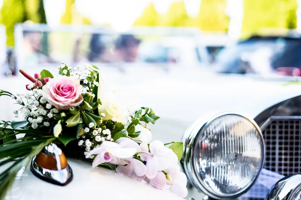 Studio Paul et Virginie — photo 5