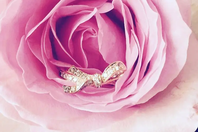 Emmanuelle Poisson Santoro — photo 1