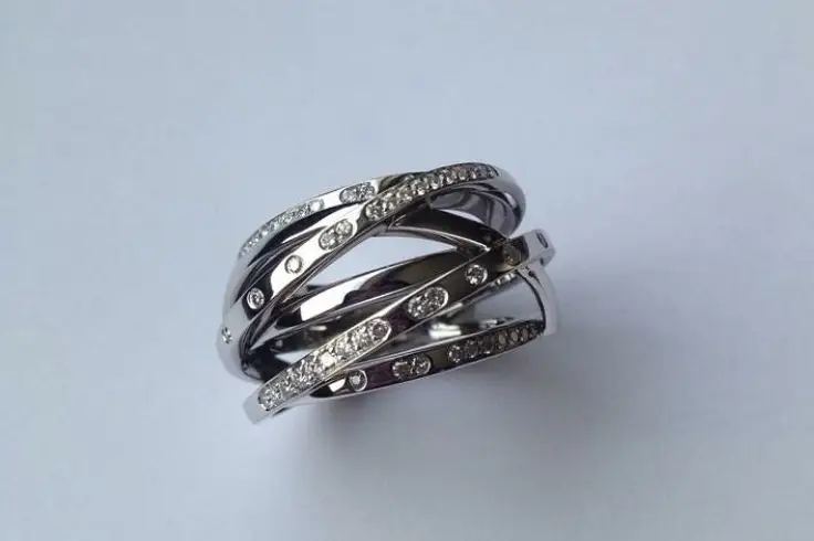 Emmanuelle Poisson Santoro — photo 2