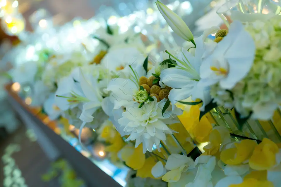 IsabelleK Designs — photo 1