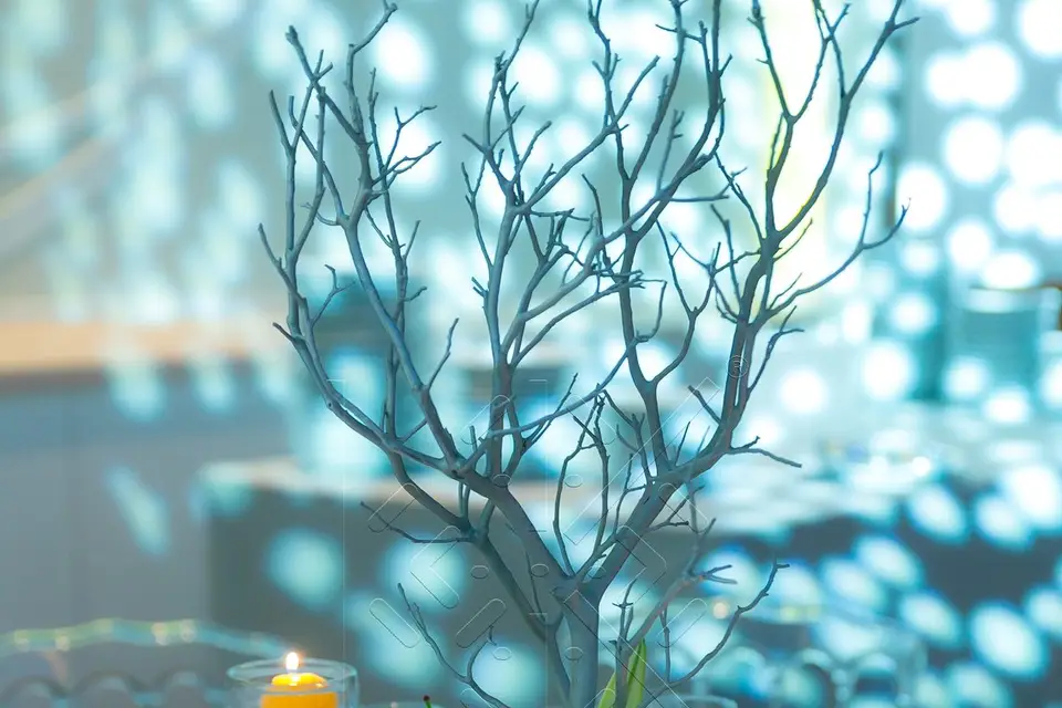 IsabelleK Designs — photo 2