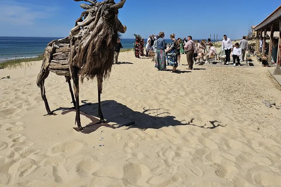 Silvercoast Evènement — photo 3