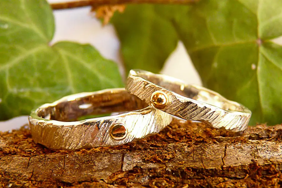 Sarah Lemonnier — photo 2